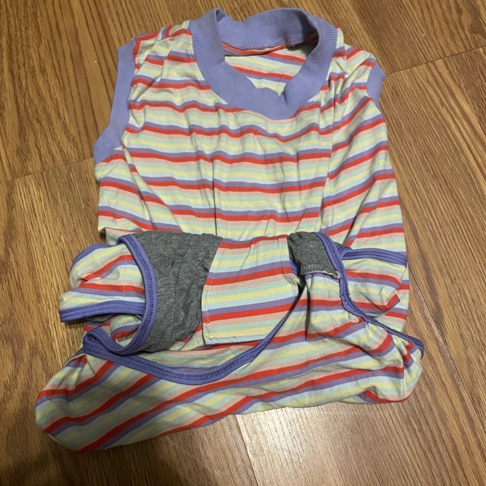 Colorful Striped Dog recovery suit